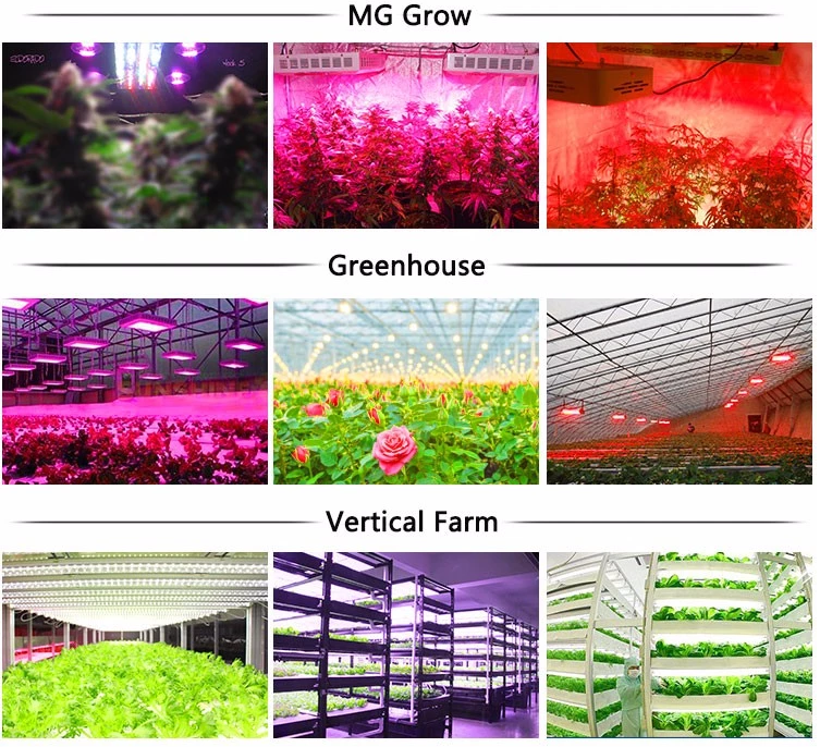 AC DC 600mm 900mm 1200mm tube led linear grow light t8 full spectrum led grow tube light 12w 24w