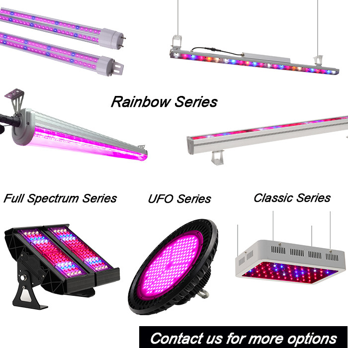 AC DC 600mm 900mm 1200mm tube led linear grow light t8 full spectrum led grow tube light 12w 24w