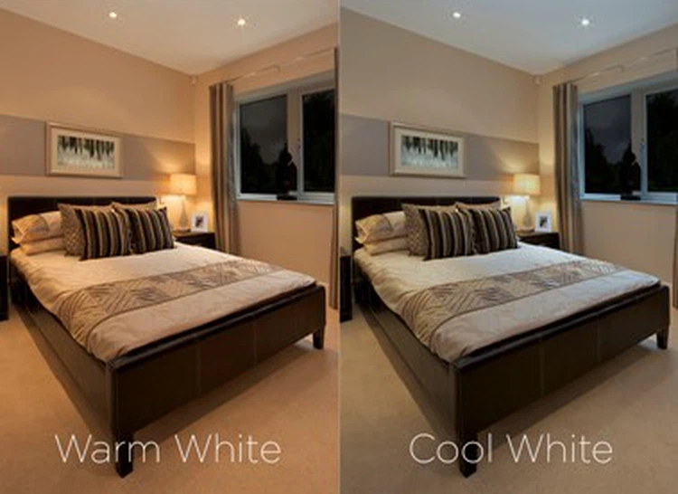 warm or white warm or white