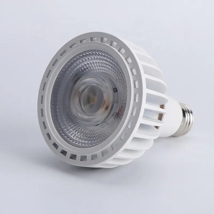 COB Dimmable Led Spotlight 2 COB Dimmable Led Spotlight 2