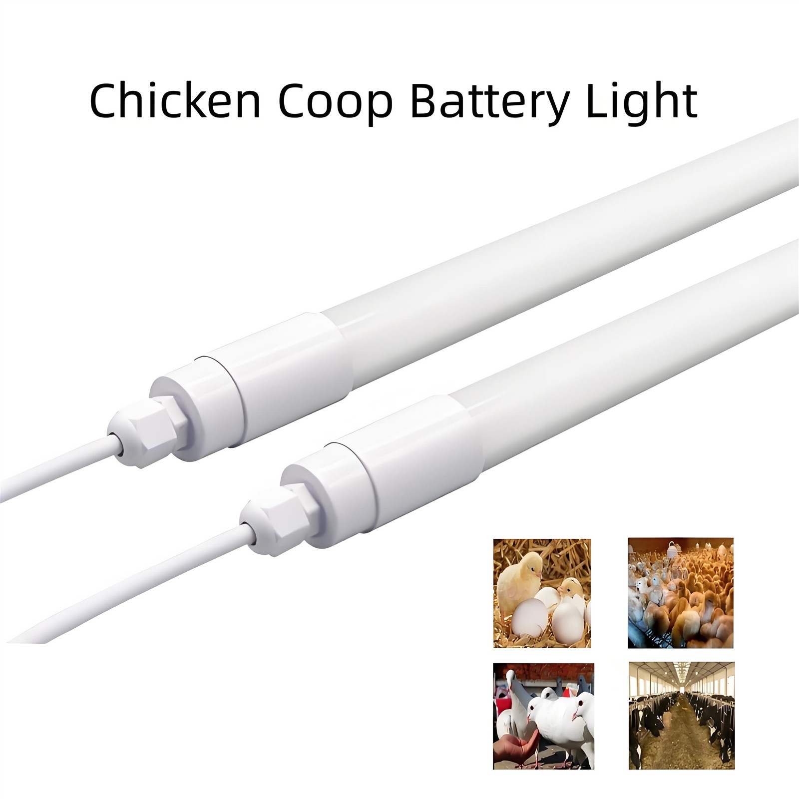 LED poultry tube lights