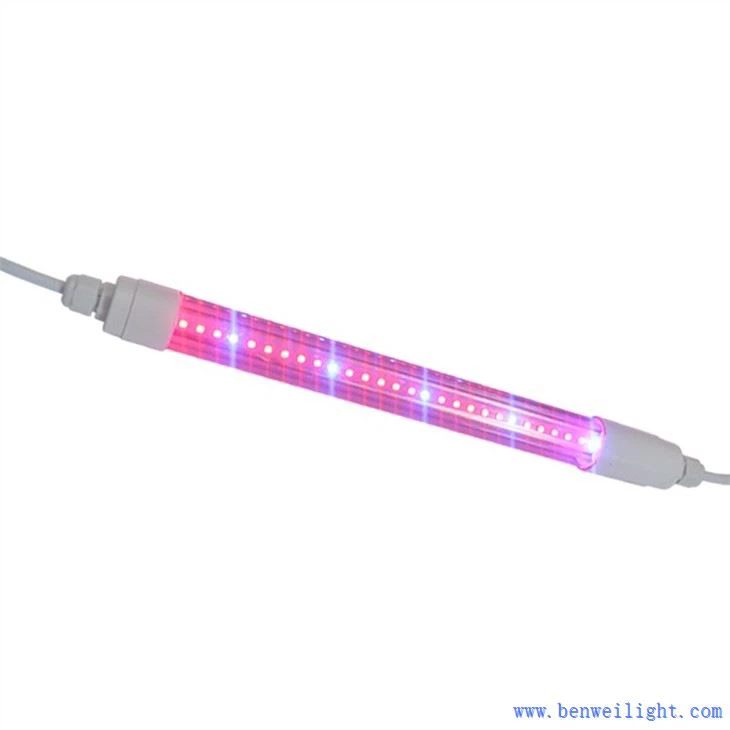 Grow Light Kelvin y lúmenes