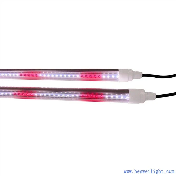 Grow Light Led para semillas y verdes