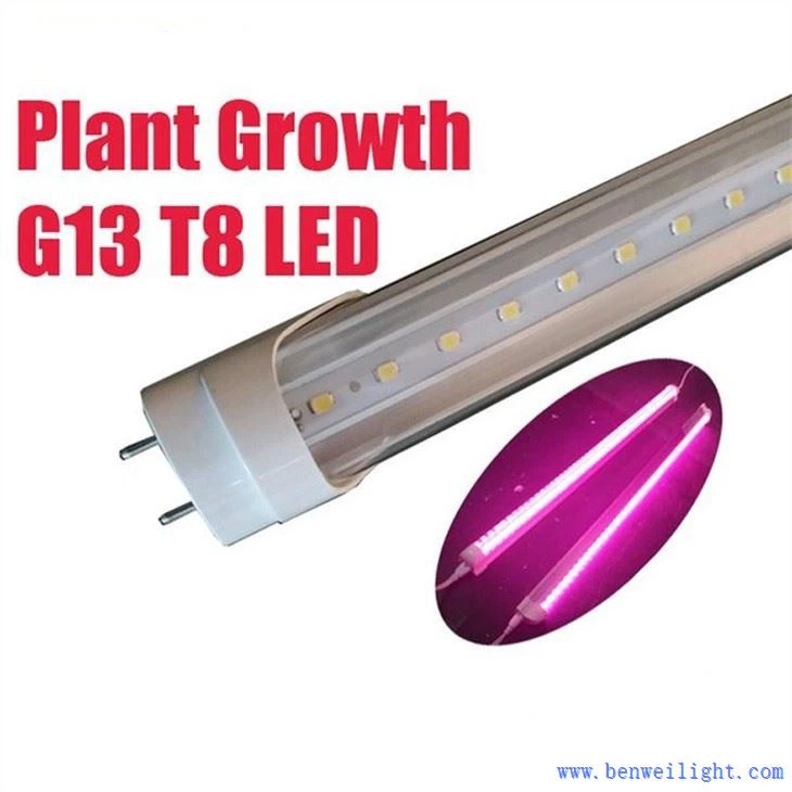 Crecimiento de plantas G13 T8 Led