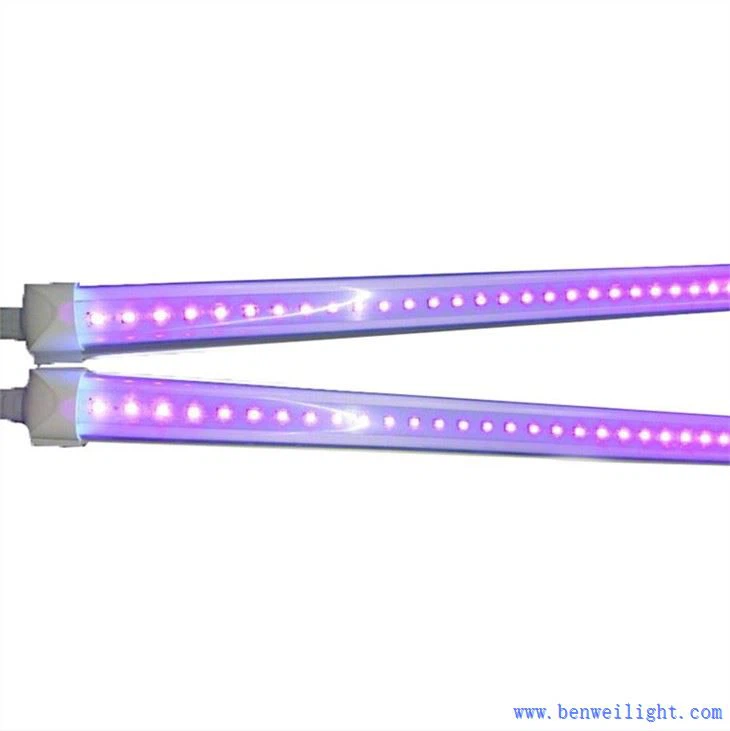 Tubo de luz LED UV de 36 vatios