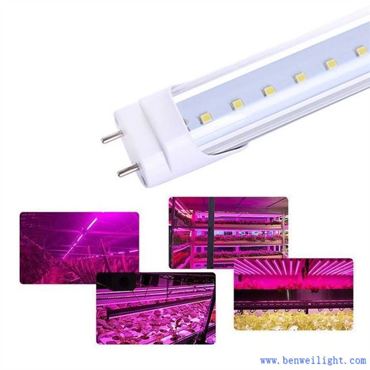 grow light floor lamp