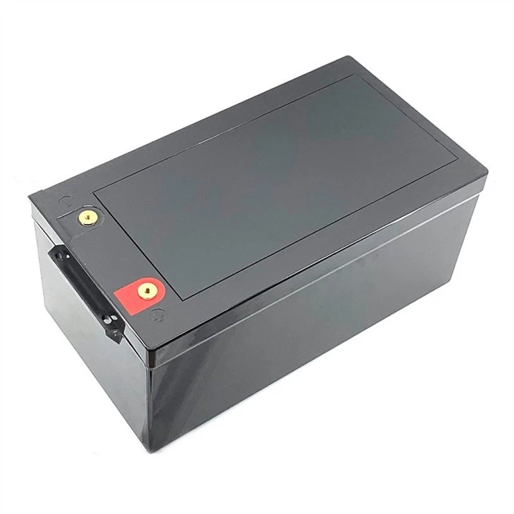 Lifepo4 24v 100ah Bms 4s