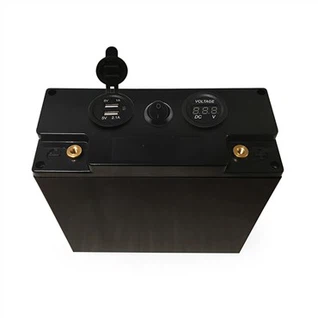 Paquete de batería Lifepo4 de 12v 100ah