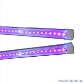 Tubo LED UV 60cm