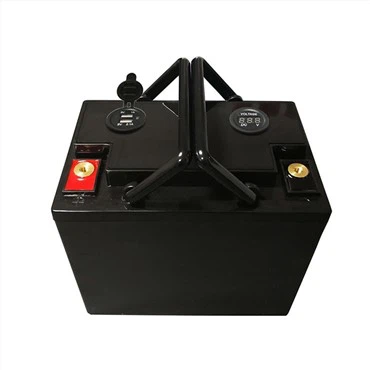 Batería Bms Lifepo4 12v 100ah