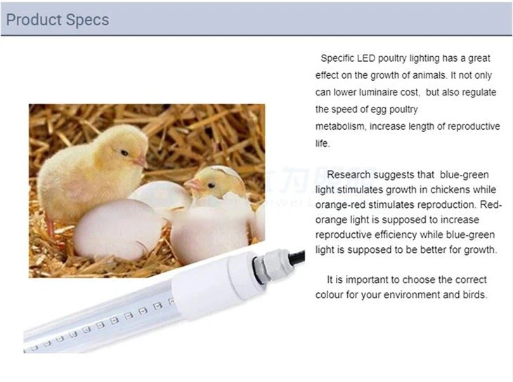 Luz de gallinero led