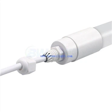 Bombilla de cría de pollo