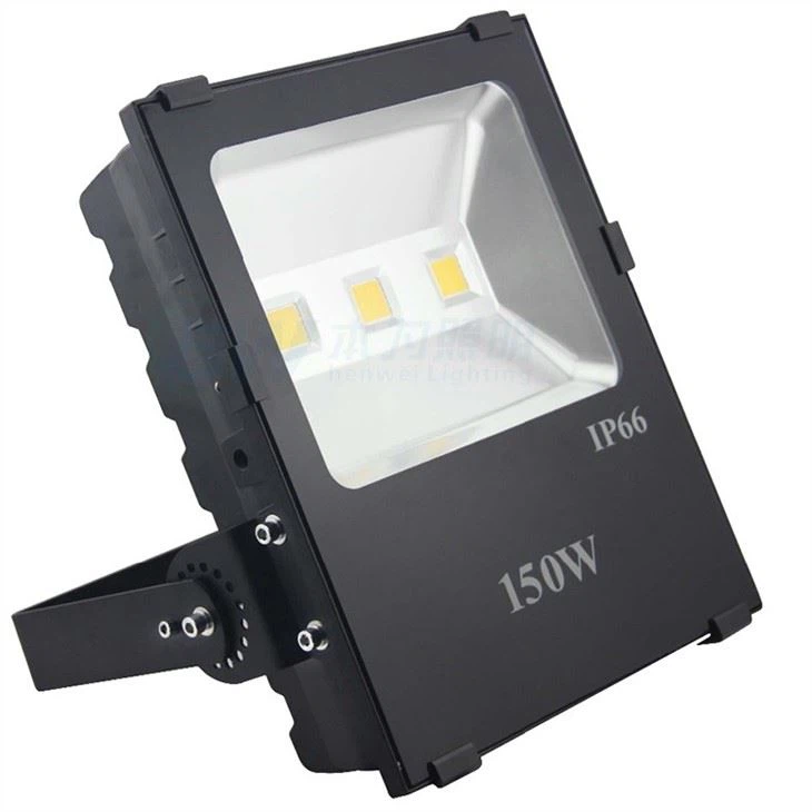 Floodlight Security Light