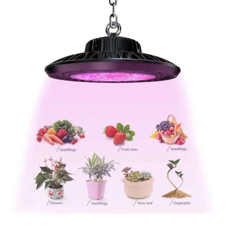 Luz de bahía alta ultravioleta de 100 W