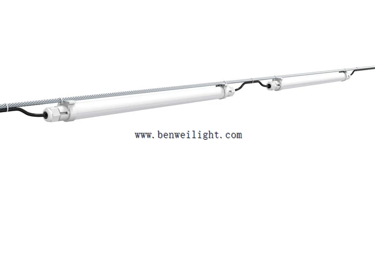 12v Poultry Lighting