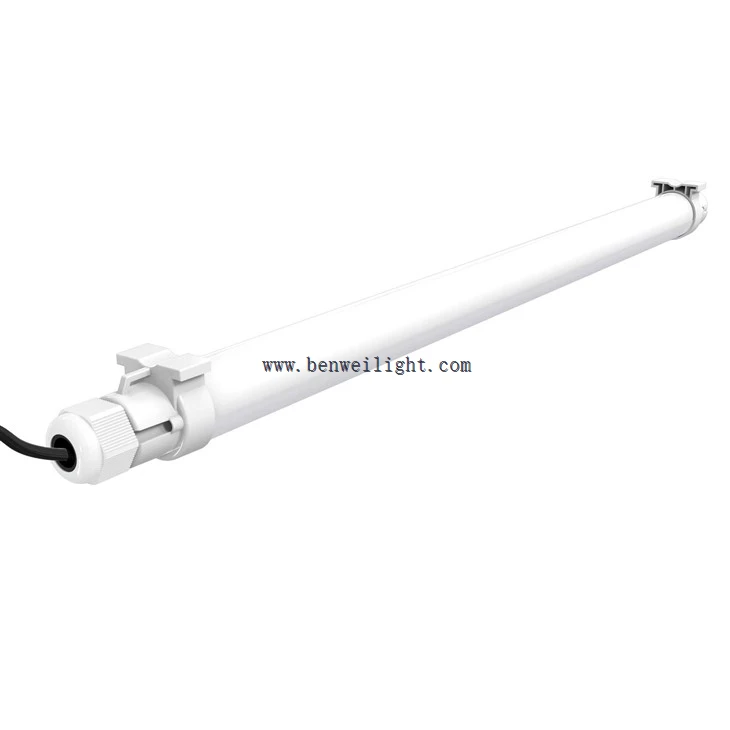 12v Poultry Lighting