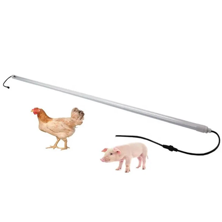 Luz LED atenuadora para aves de corral