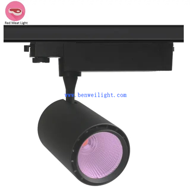 Luces de pista de carne fresca