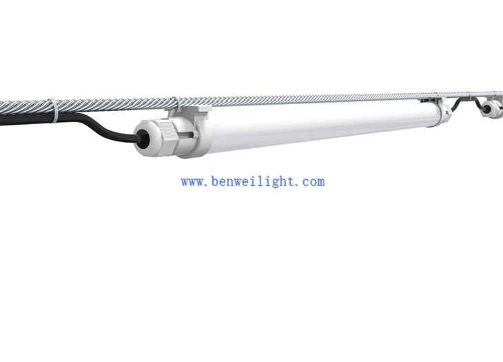 poultry house lighting