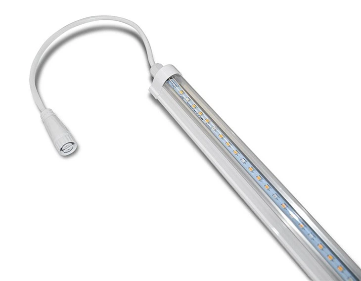 luz artificial para plantas invernadero