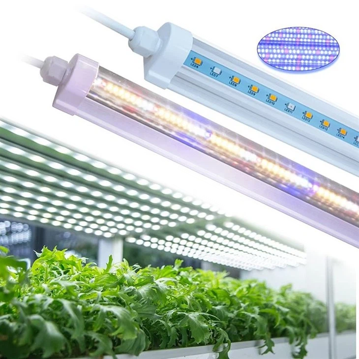 luces de cultivo led