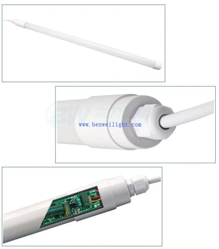 light in chicken coop at night