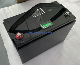 48v Lithium Ion Battery For E Rickshaw Price
