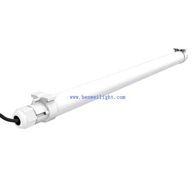 Luz LED para aves de corral IP67 T12 para gallinas ponedoras