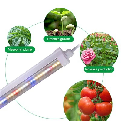 Luz de cultivo LED para plantas IP67