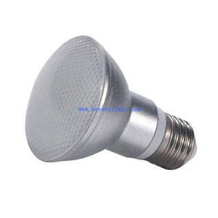 Foco LED PAR30 12W