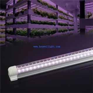 Bombilla de cultivo UV T5