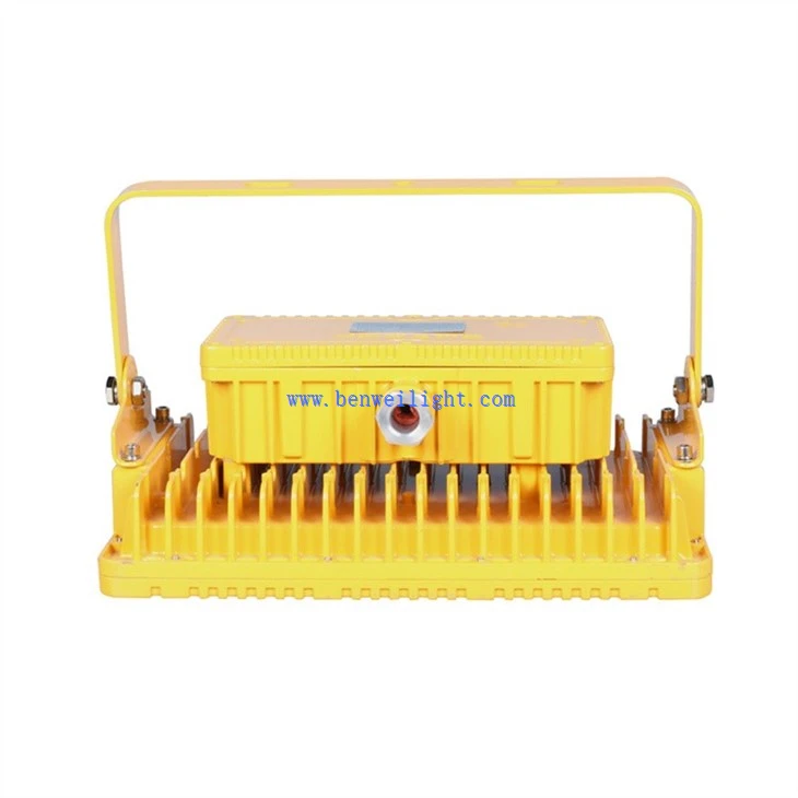 100W Explosion-Proof Light (2)