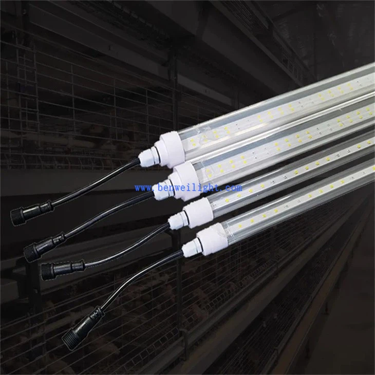 Barn Lights For Chickens (5)