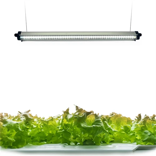 Luz de cultivo FloraFlare