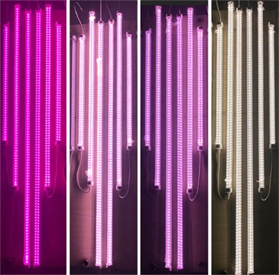 What Do You Need To Know About LED Grow Lights?