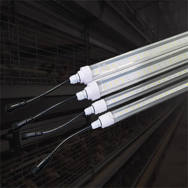 Coop Lighting 2