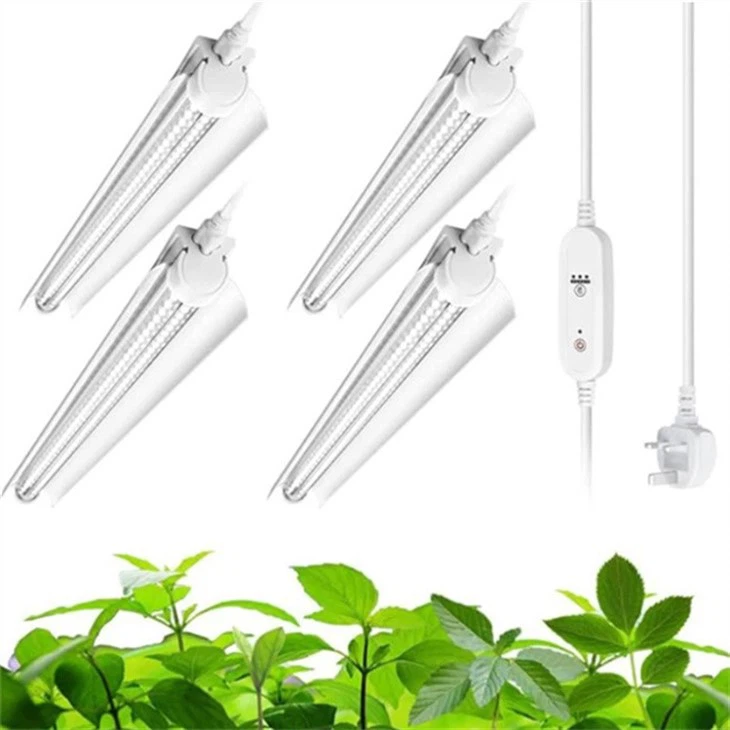 plant grow light