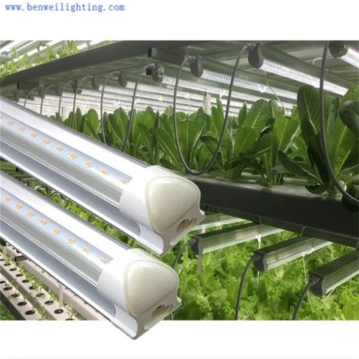 grow lights for indoor plants