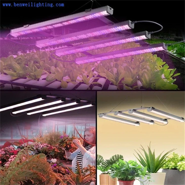 indoor grow lights