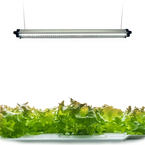 Panel de cultivo LED/abrazadera en LED B, azul, 120 V, bombilla incluida