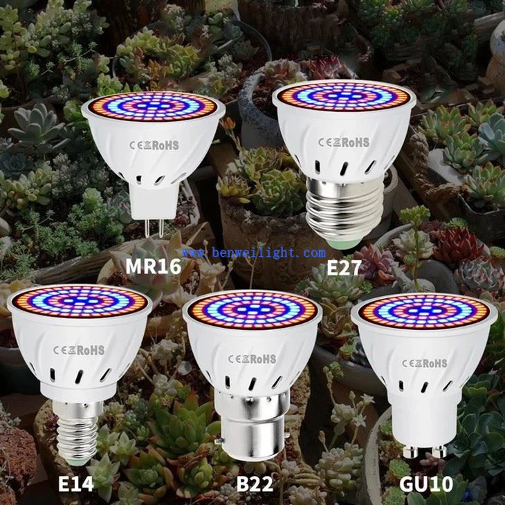 Plant growth lamp