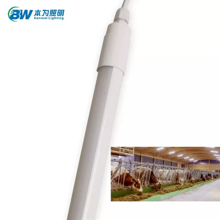 Luces LED de tubo para aves de corral regulables a prueba de agua