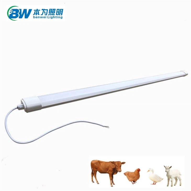 Luces de tubo LED para aves de corral regulables a prueba de agua