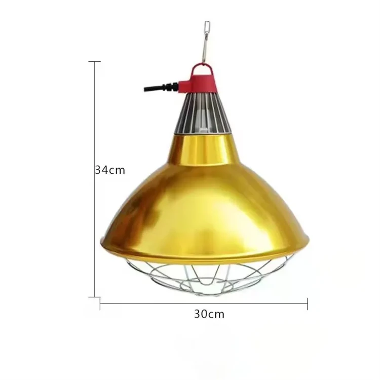 product-750-750