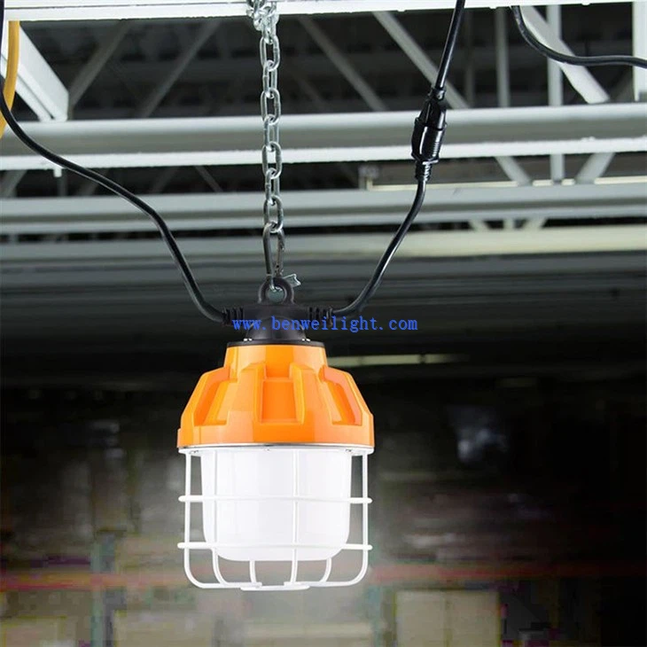 Site Construction Pendant Luminaire (5)
