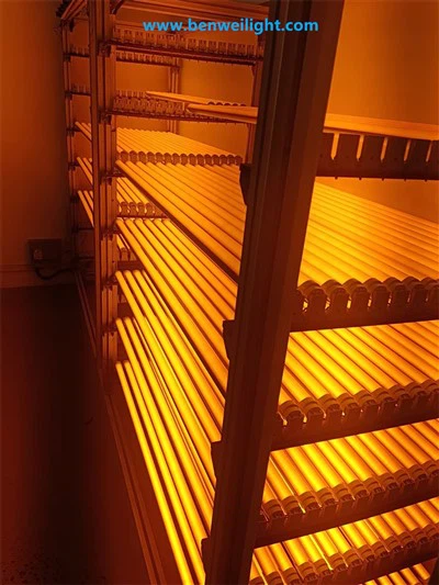 Escudo de luz azul y UV de tubo T8: bloquea los rayos por debajo de 500 nm