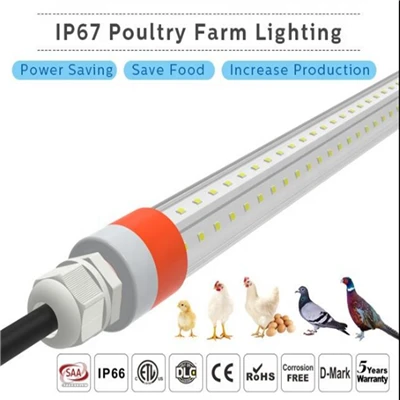 Iluminación impermeable IP67 para equipos avícolas, luz LED conmutable de doble-color rojo y blanco para granjas avícolas.