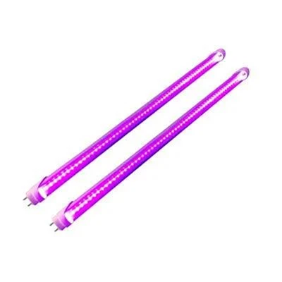Lámpara de curado UV para reparación de pantallas