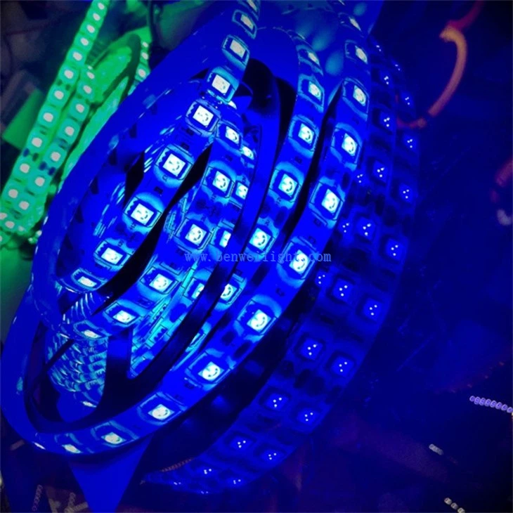 SMD5050 Flexible Rope Light (2)