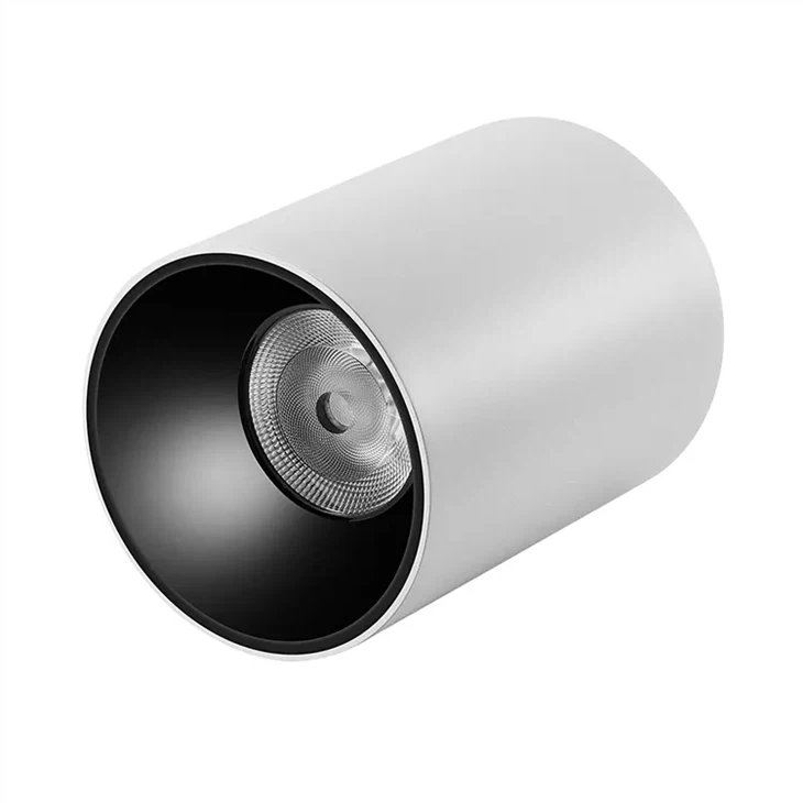 Surface Mounted Downlight